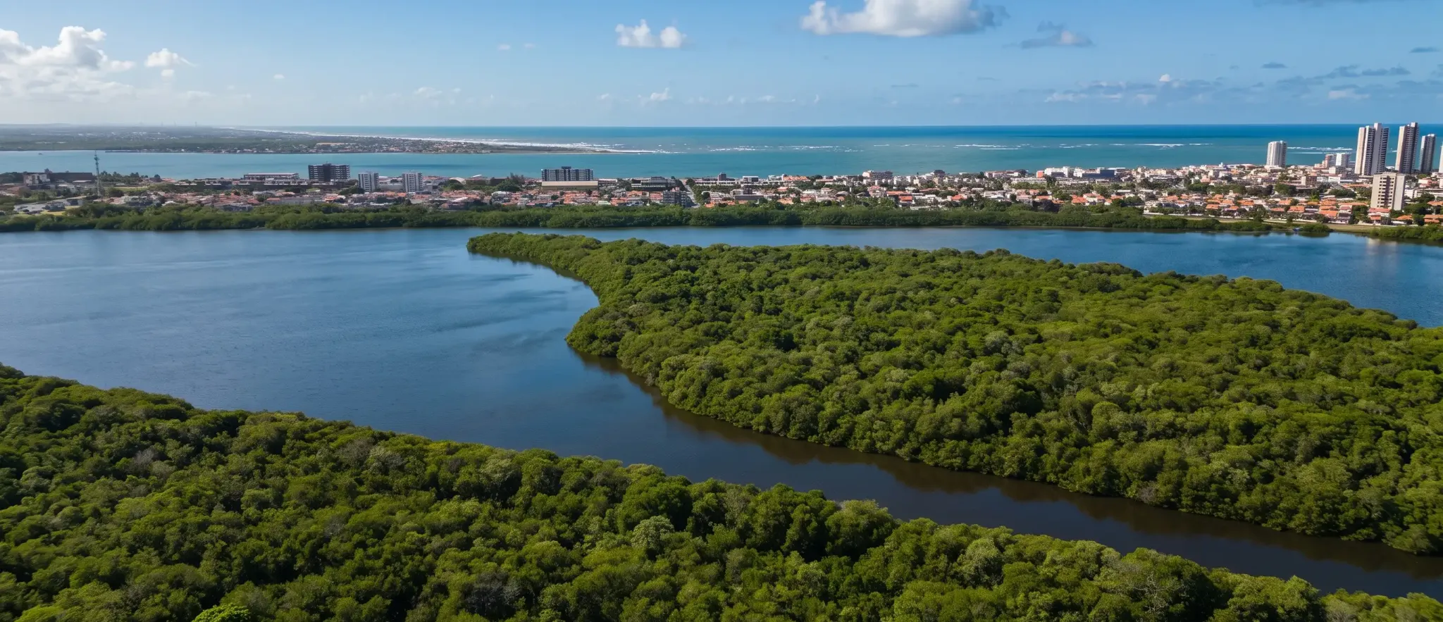 Vista permanente para o verde, o rio e o mar